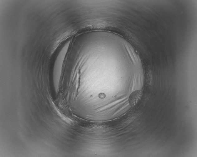 X0000076070638200610202015