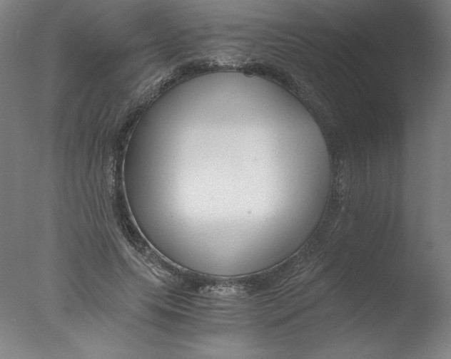 X0000076070639200610202015