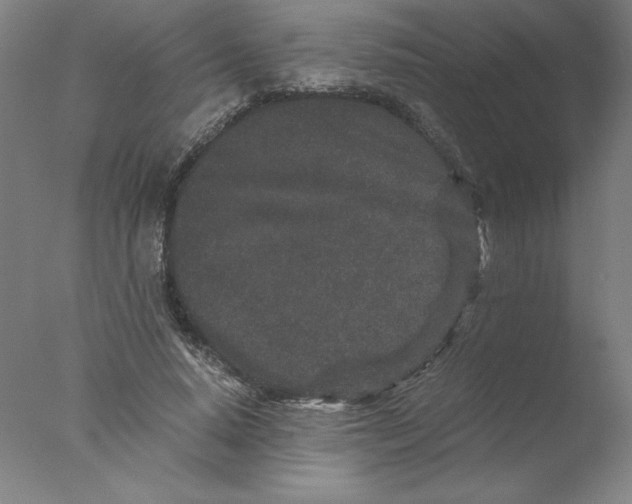 X0000076070640200610202015