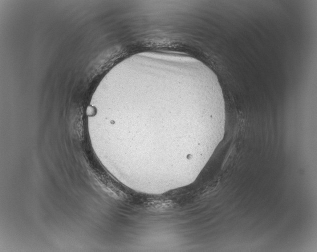 X0000076070642200610202015