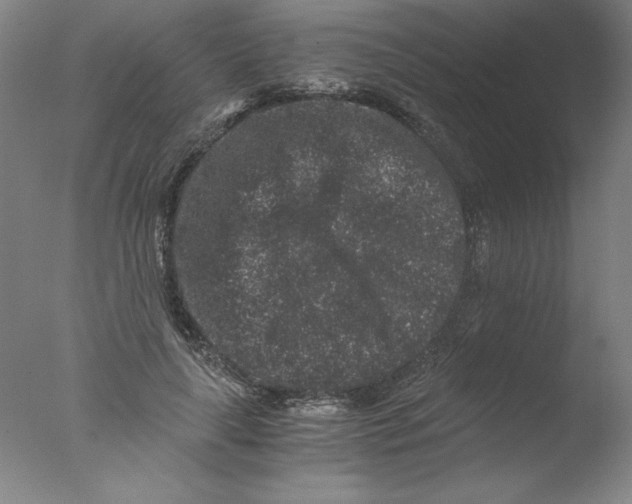 X0000076070643200610202015