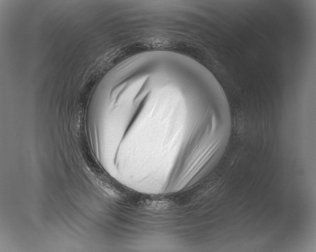 X0000076070645200610202015