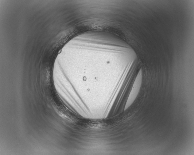 X0000076070646200610202015