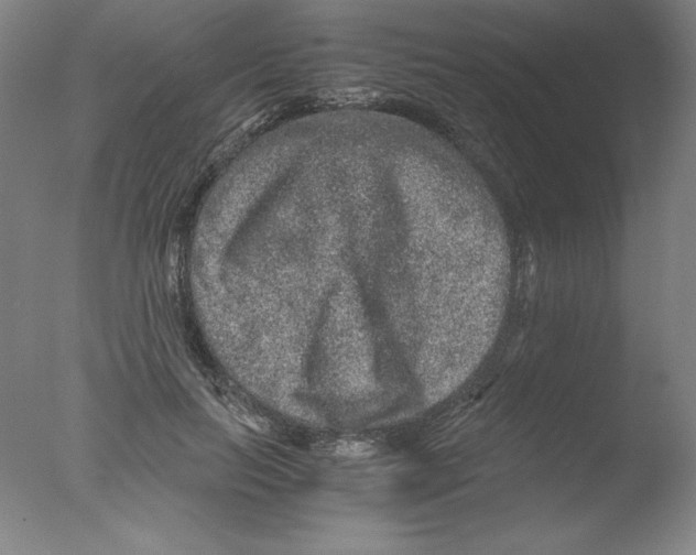 X0000076070647200610202015