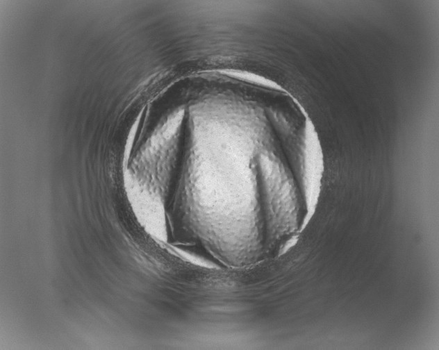 X0000076070648200610202015