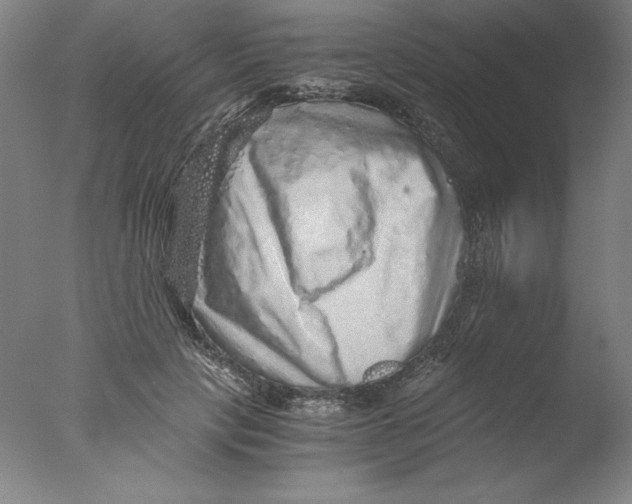 X0000076070649200610202015