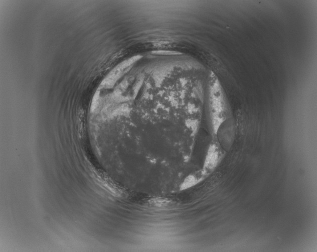 X0000076070650200610202015