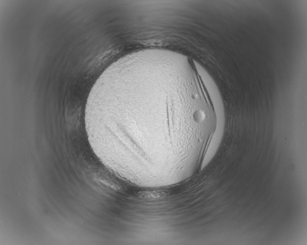 X0000076070652200610202015