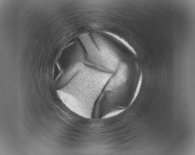 X0000076070653200610202015