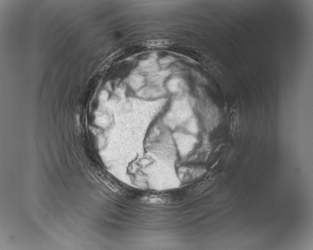 X0000076070655200610202015