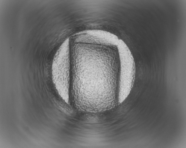 X0000076070658200610202015