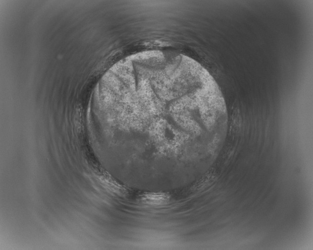 X0000076070659200610202015