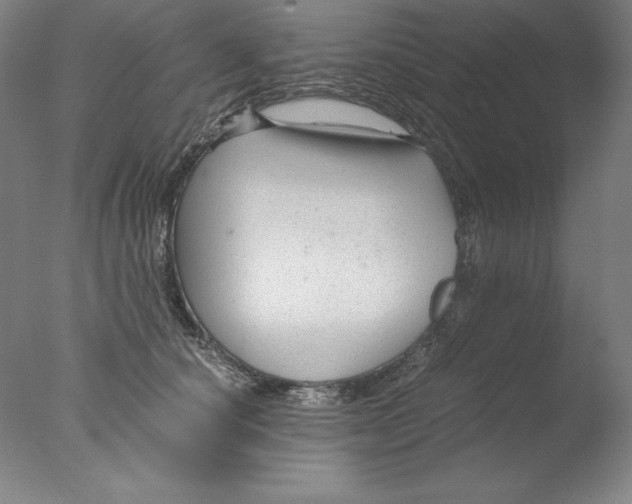 X0000076070660200610202015