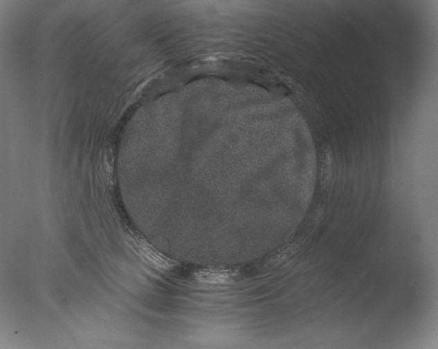 X0000076070661200610202015