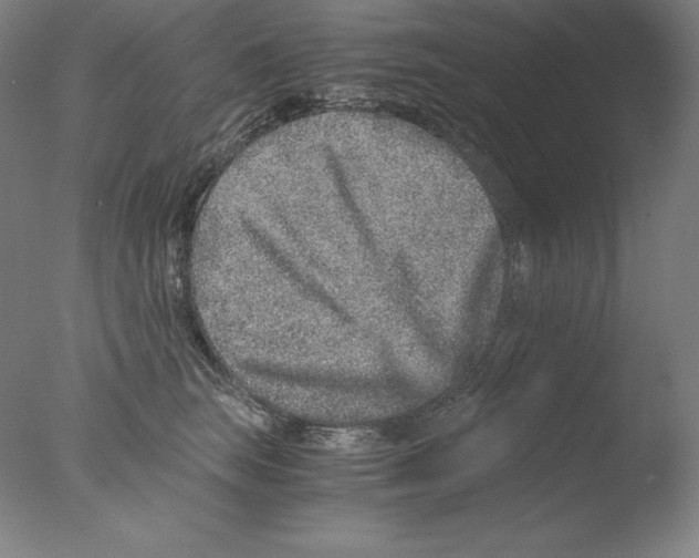 X0000076070663200610202015