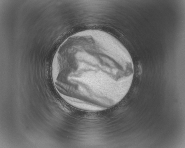 X0000076070664200610202015