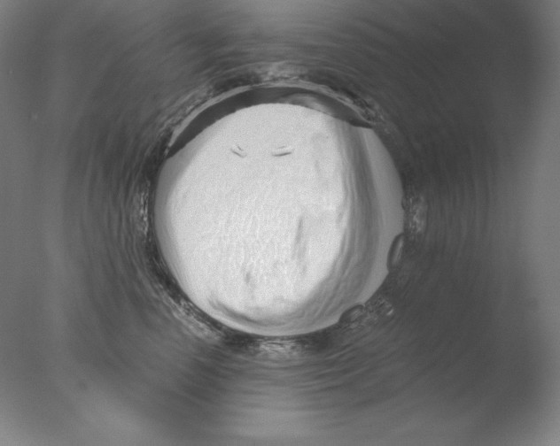 X0000076070666200610202015