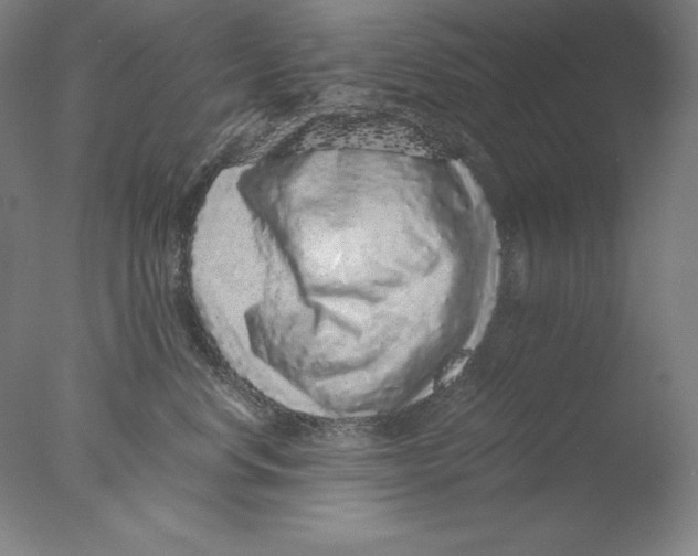 X0000076070668200610202016