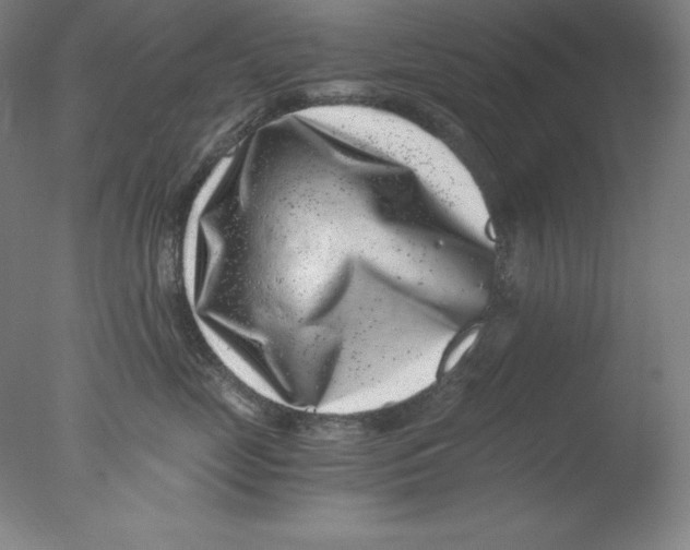 X0000076070669200610202016