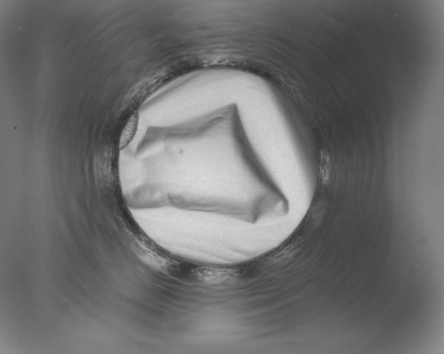 X0000076070670200610202016