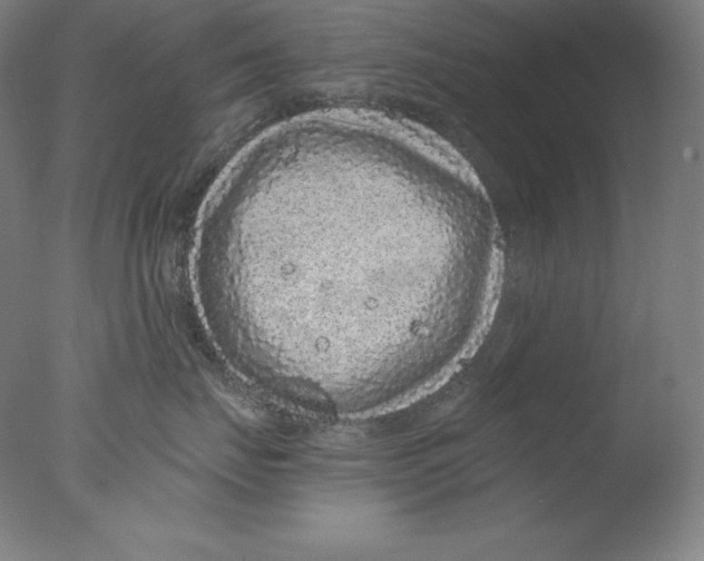 X0000076070671200610202016