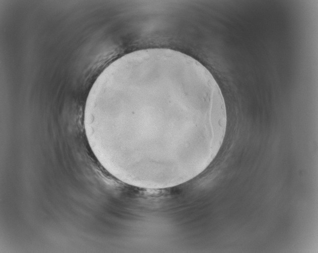 X0000076070672200610202016