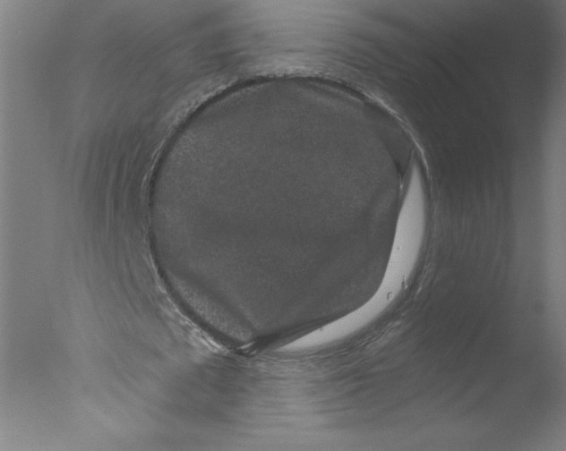 X0000076070673200610202015