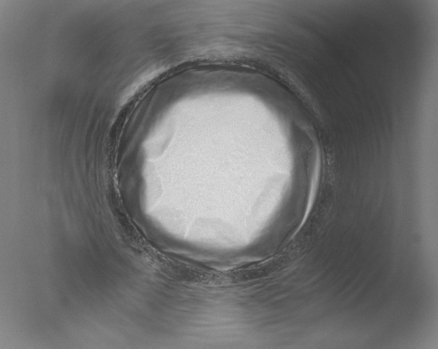 X0000076070675200610202015