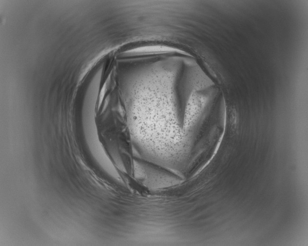 X0000076070676200610202015