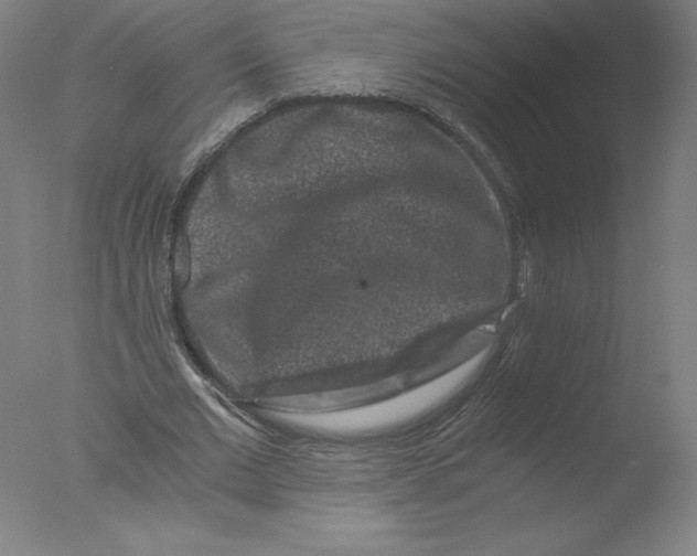 X0000076070677200610202015