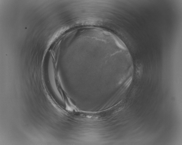 X0000076070678200610202015