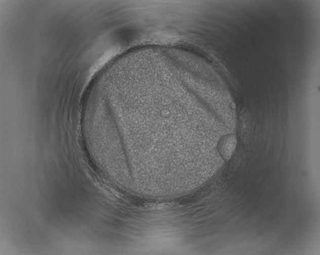 X0000076070679200610202015