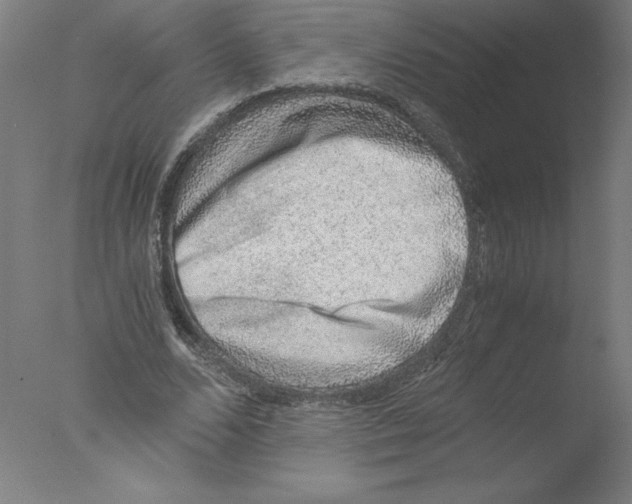 X0000076070680200610202015