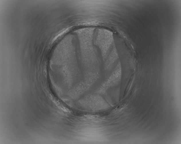 X0000076070681200610202015