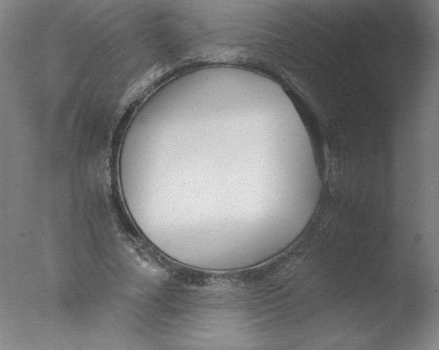 X0000076070682200610202015