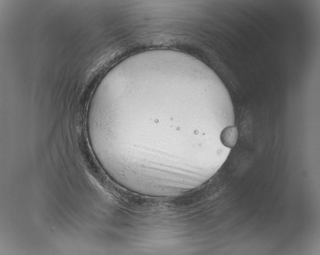 X0000076070683200610202015