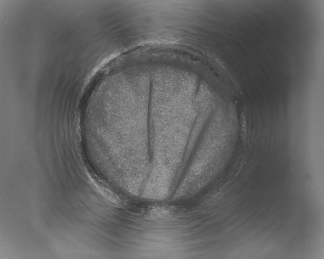 X0000076070684200610202015