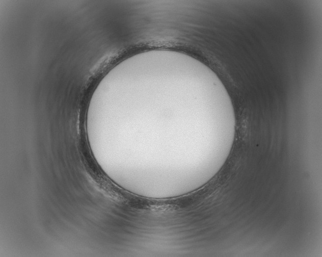 X0000076070686200610202015