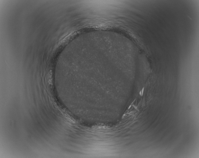 X0000076070689200610202014