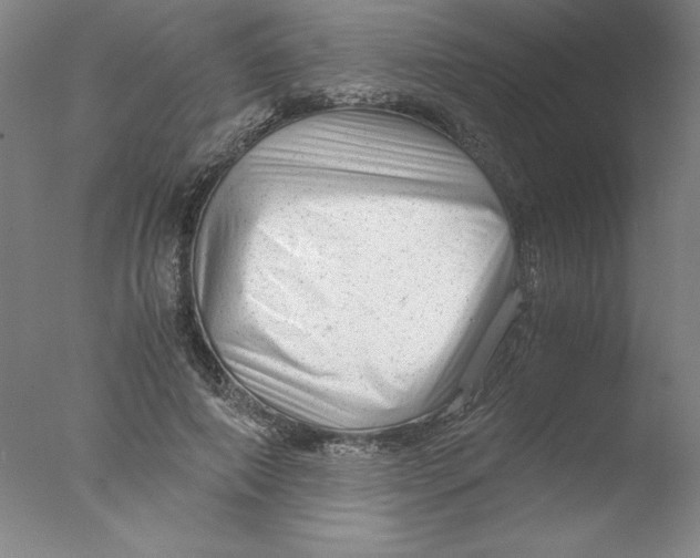 X0000076070690200610202014