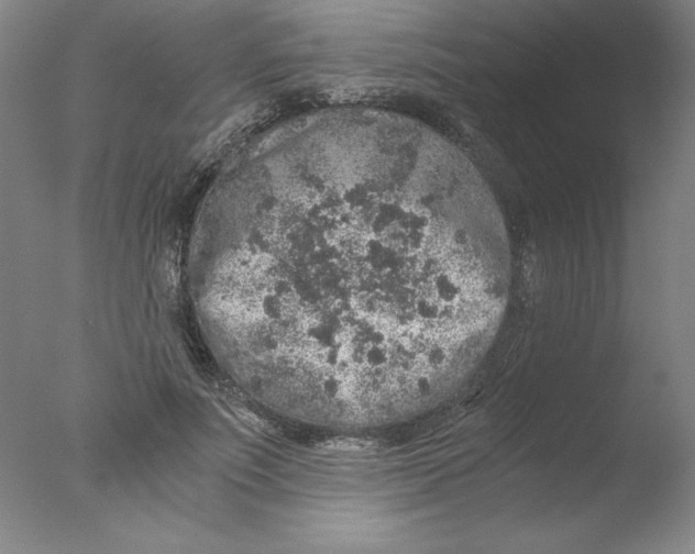 X0000076070691200610202014