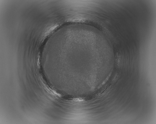 X0000076070692200610202014