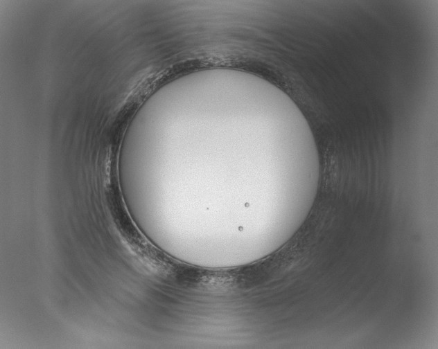 X0000076070694200610202014