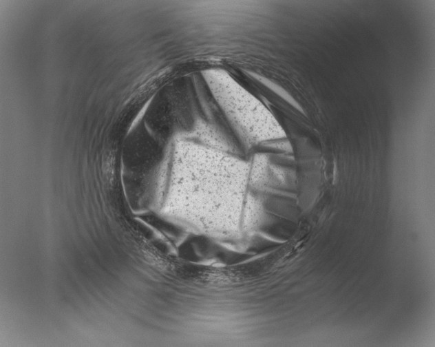 X0000076070697200610202014