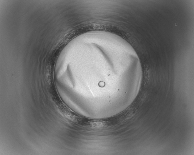 X0000076070698200610202014