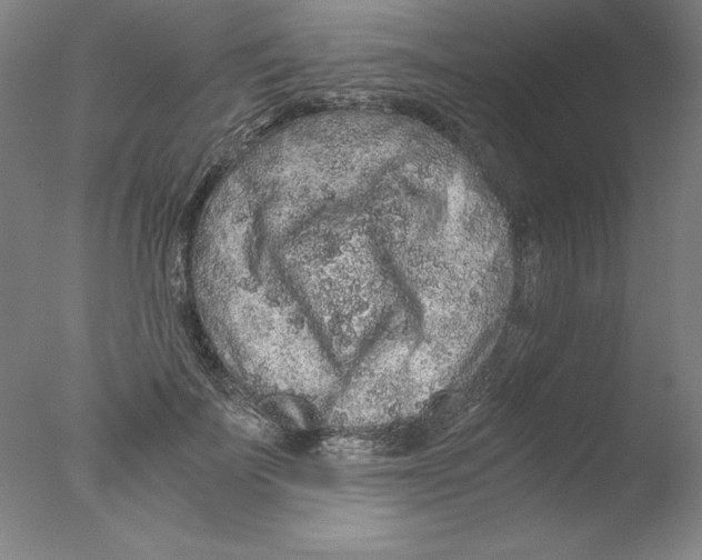 X0000076070699200610202014