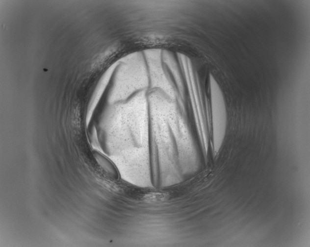 X0000076070700200610202014