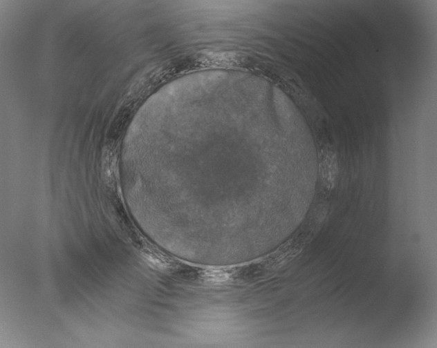 X0000076070701200610202014