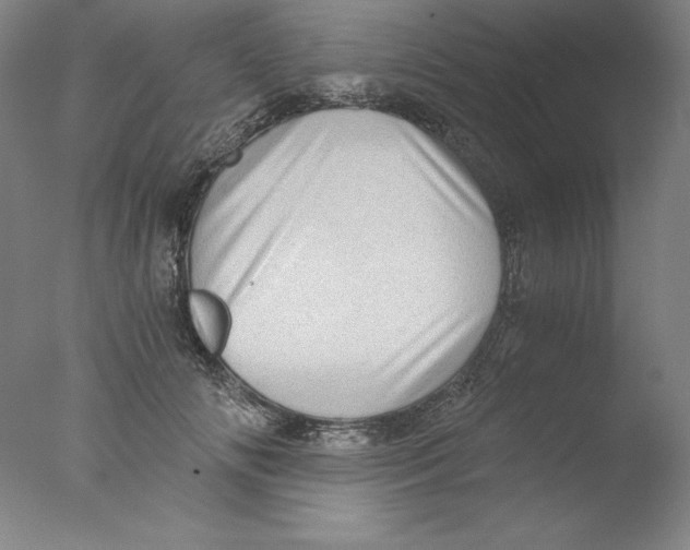 X0000076070702200610202014