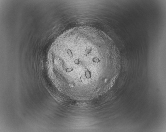 X0000076070703200610202014